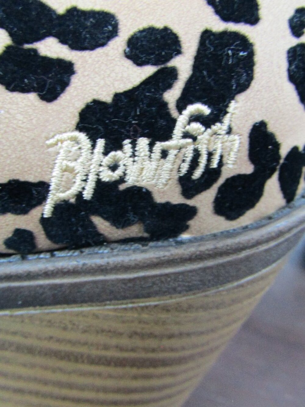 Blowfish Malibu | Leopard | 2 1/2" Heeled Ankle Boots | Zippered - Picture 3 of 7